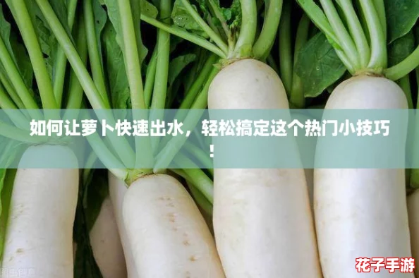 如何让萝卜快速出水，轻松搞定这个热门小技巧！