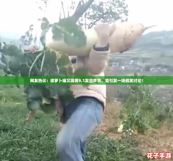 网友热议：拔萝卜痛又降黄9.1发出声音，竟引发一场搞笑讨论！