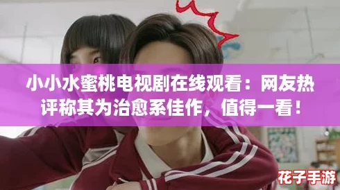 小小水蜜桃电视剧在线观看：网友热评称其为治愈系佳作，值得一看！