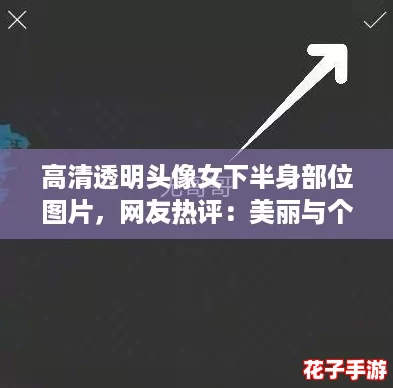 高清透明头像女下半身部位图片，网友热评：美丽与个性的完美结合！