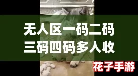 无人区一码二码三码四码多人收藏，网友热评：探索未知的乐趣与惊喜无处不在！