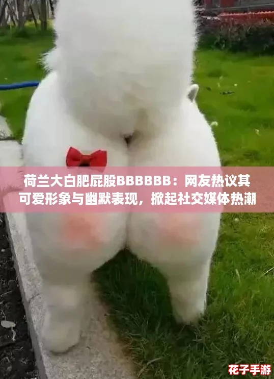 荷兰大白肥屁股BBBBBB：网友热议其可爱形象与幽默表现，掀起社交媒体热潮