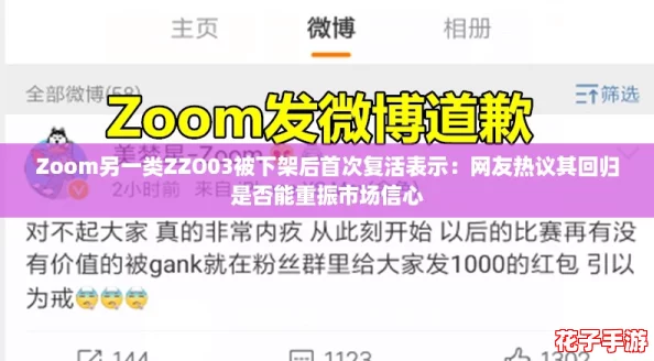 Zoom另一类ZZO03被下架后首次复活表示：网友热议其回归是否能重振市场信心