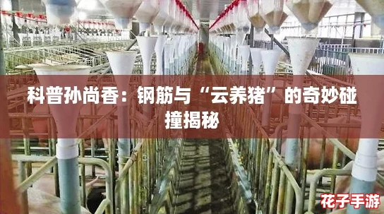 科普孙尚香:钢筋与“云养猪”的奇妙碰撞揭秘 科普孙尚香:钢筋与“云养猪”的奇妙碰撞揭秘