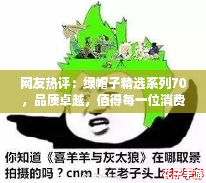 网友热评：绿帽子精选系列70，品质卓越，值得每一位消费者信赖与选择！