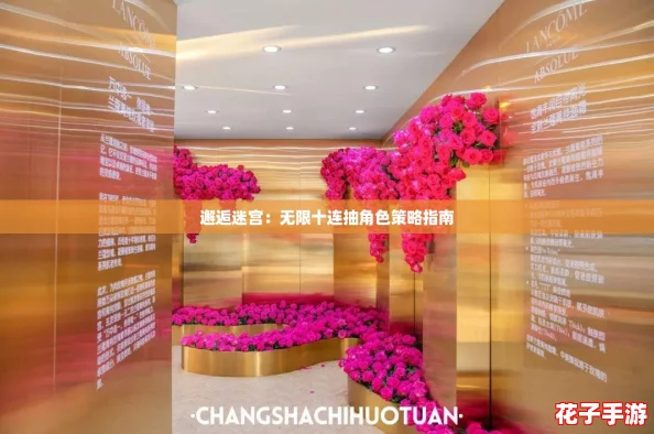 邂逅迷宫：无限十连抽角色策略指南