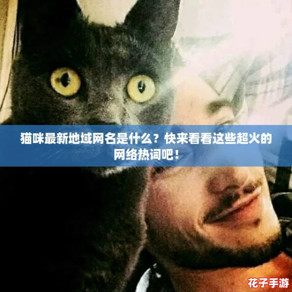 猫咪最新地域网名是什么？快来看看这些超火的网络热词吧！