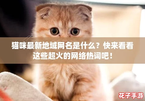 猫咪最新地域网名是什么?快来看看这些超火的网络热词吧! 猫咪最新地域网名是什么?快来看看这些超火的网络热词吧!