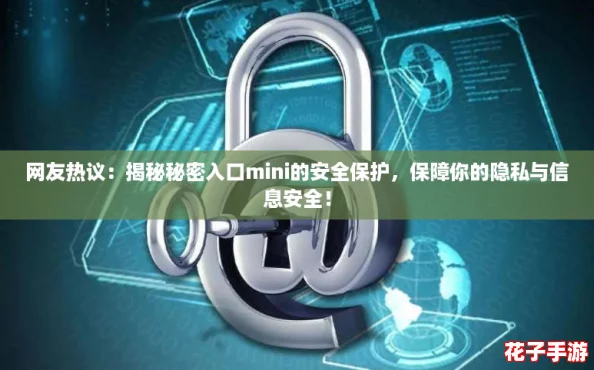 网友热议：揭秘秘密入口mini的安全保护，保障你的隐私与信息安全！