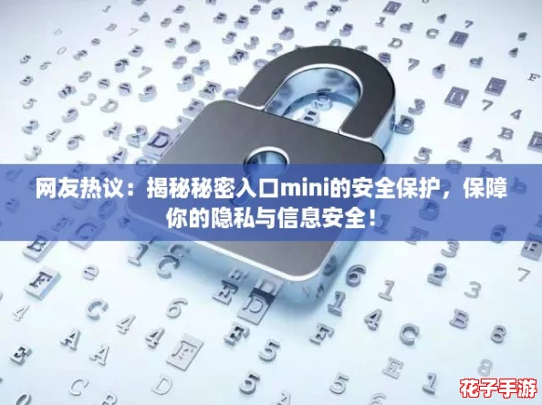 网友热议:揭秘秘密入口mini的安全保护,保障你的隐私与信息安全! 网友热议:揭秘秘密入口mini的安全保护,保障你的隐私与信息安全!