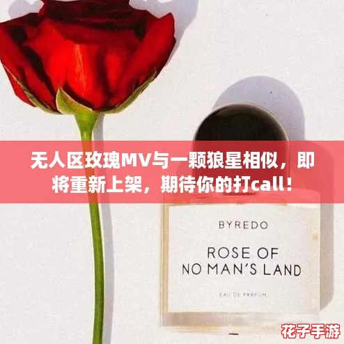 无人区玫瑰MV与一颗狼星相似，即将重新上架，期待你的打call！