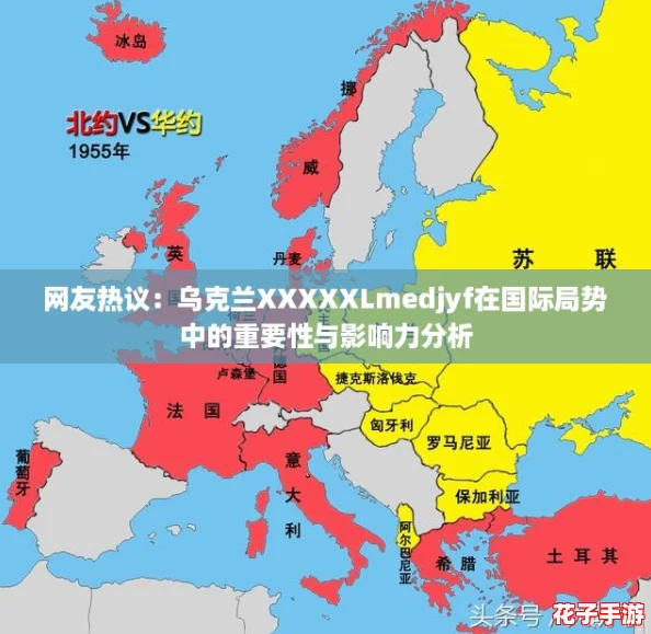 网友热议：乌克兰XXXXXLmedjyf在国际局势中的重要性与影响力分析