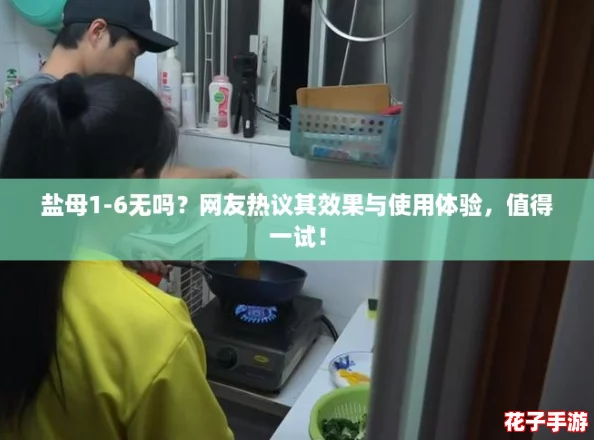 盐母1-6无吗？网友热议其效果与使用体验，值得一试！