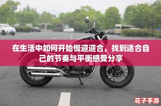 在生活中如何开始慢迎迎合，找到适合自己的节奏与平衡感受分享