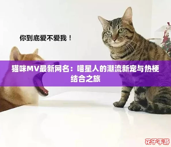 猫咪MV最新网名：喵星人的潮流新宠与热梗结合之旅