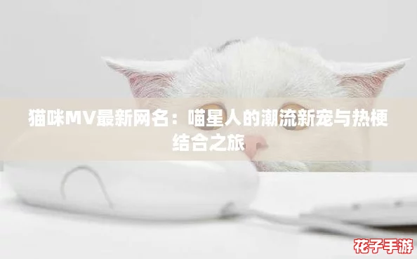 猫咪MV最新网名:喵星人的潮流新宠与热梗结合之旅 猫咪MV最新网名:喵星人的潮流新宠与热梗结合之旅