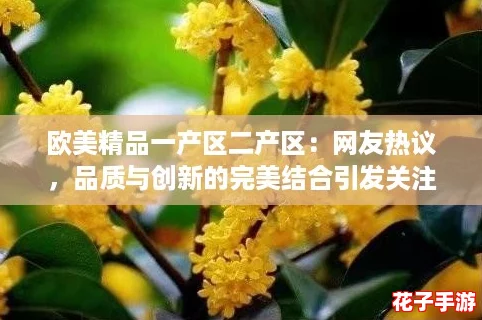 欧美精品一产区二产区：网友热议，品质与创新的完美结合引发关注