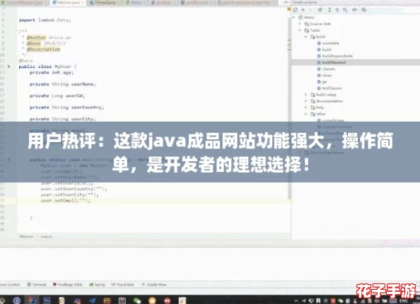 用户热评：这款java成品网站功能强大，操作简单，是开发者的理想选择！