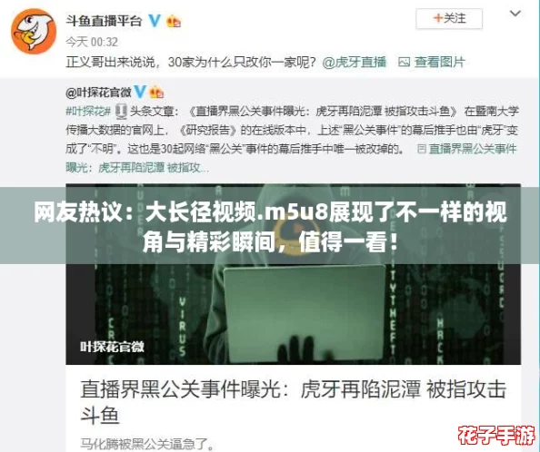 网友热议：大长径视频.m5u8展现了不一样的视角与精彩瞬间，值得一看！