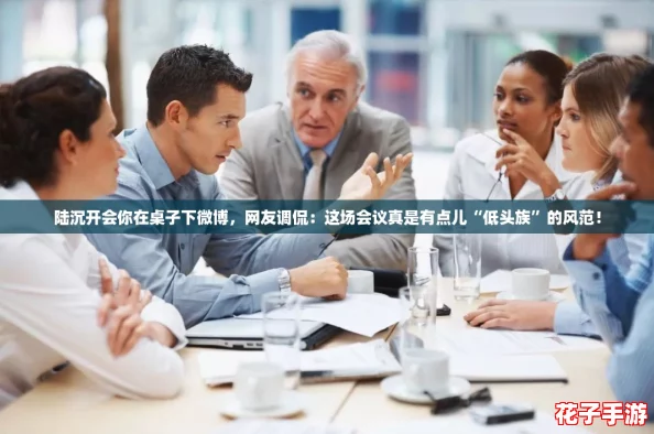 陆沉开会你在桌子下微博，网友调侃：这场会议真是有点儿“低头族”的风范！