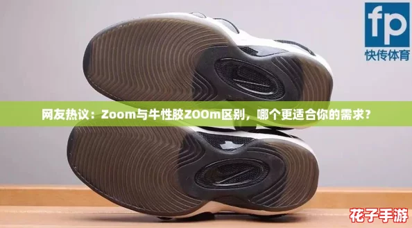 网友热议：Zoom与牛性胶ZOOm区别，哪个更适合你的需求？