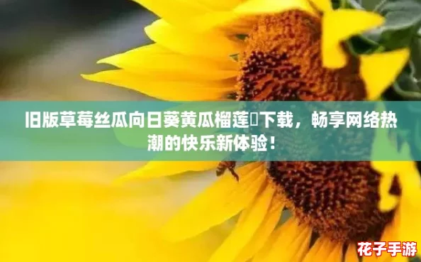 旧版草莓丝瓜向日葵黄瓜榴莲汅下载，畅享网络热潮的快乐新体验！