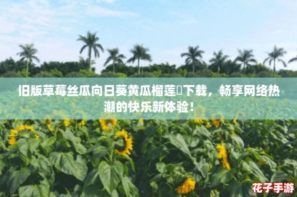旧版草莓丝瓜向日葵黄瓜榴莲汅下载，畅享网络热潮的快乐新体验！