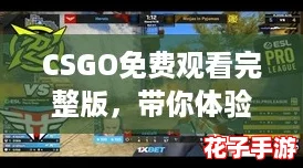 CSGO免费观看完整版，带你体验游戏界的巅峰之作！