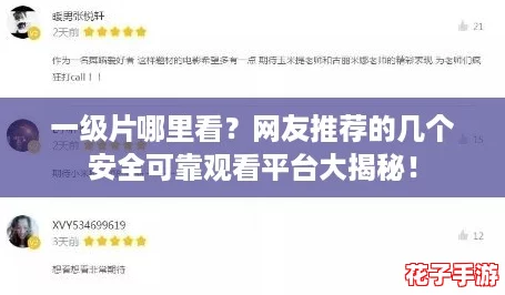 一级片哪里看？网友推荐的几个安全可靠观看平台大揭秘！