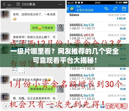 一级片哪里看?网友推荐的几个安全可靠观看平台大揭秘! 一级片哪里看?网友推荐的几个安全可靠观看平台大揭秘!