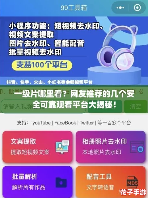 一级片哪里看?网友推荐的几个安全可靠观看平台大揭秘! 一级片哪里看?网友推荐的几个安全可靠观看平台大揭秘!
