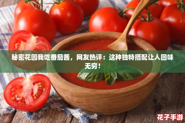 秘密花园我吃番茄酱，网友热评：这种独特搭配让人回味无穷！