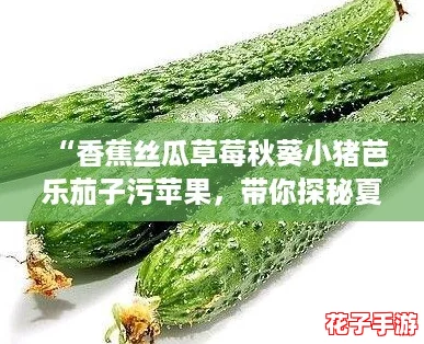 “香蕉丝瓜草莓秋葵小猪芭乐茄子污苹果，带你探秘夏日水果奇幻之旅！”