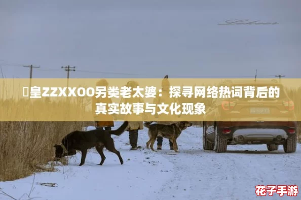 嘼皇ZZXXOO另类老太婆:探寻网络热词背后的真实故事与文化现象 嘼皇ZZXXOO另类老太婆:探寻网络热词背后的真实故事与文化现象