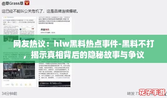 网友热议：hlw黑料热点事件-黑料不打，揭示真相背后的隐秘故事与争议