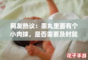 网友热议:睾丸里面有个小肉球,是否需要及时就医? 网友热议:睾丸里面有个小肉球,是否需要及时就医?