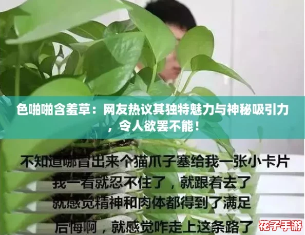 色啪啪含羞草：网友热议其独特魅力与神秘吸引力，令人欲罢不能！