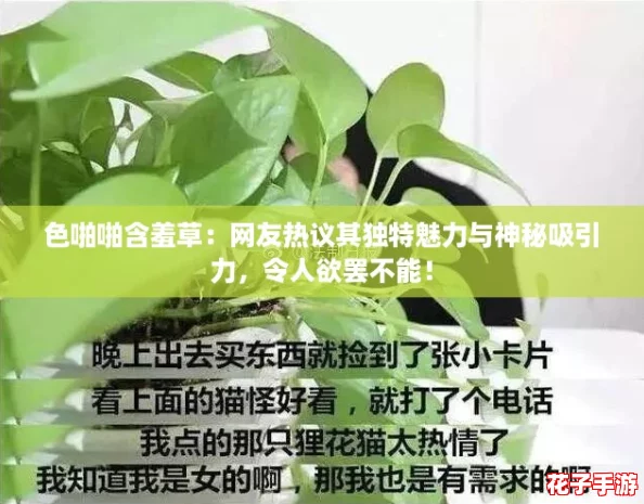色啪啪含羞草：网友热议其独特魅力与神秘吸引力，令人欲罢不能！