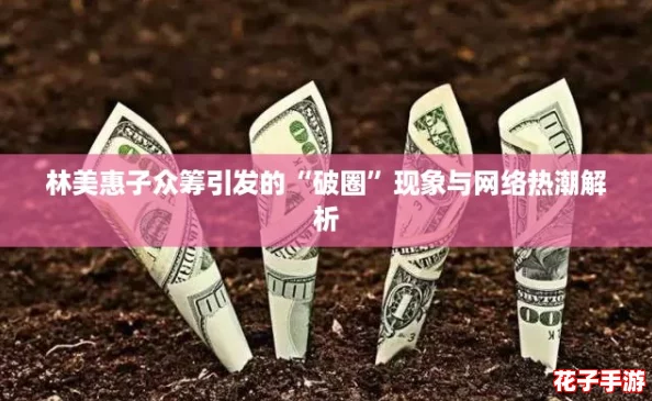 林美惠子众筹引发的“破圈”现象与网络热潮解析