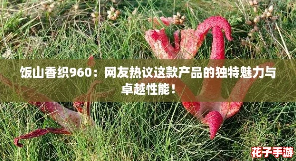 饭山香织960：网友热议这款产品的独特魅力与卓越性能！