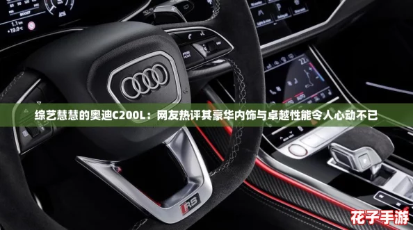 综艺慧慧的奥迪C200L:网友热评其豪华内饰与卓越性能令人心动不已 综艺慧慧的奥迪C200L:网友热评其豪华内饰与卓越性能令人心动不已