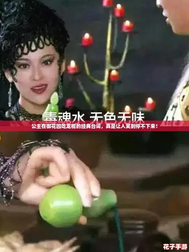 公主在御花园吃龙棍的经典台词，真是让人笑到停不下来！