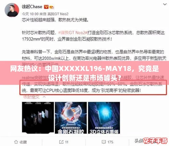 网友热议：中国XXXXXL196-MAY18，究竟是设计创新还是市场噱头？