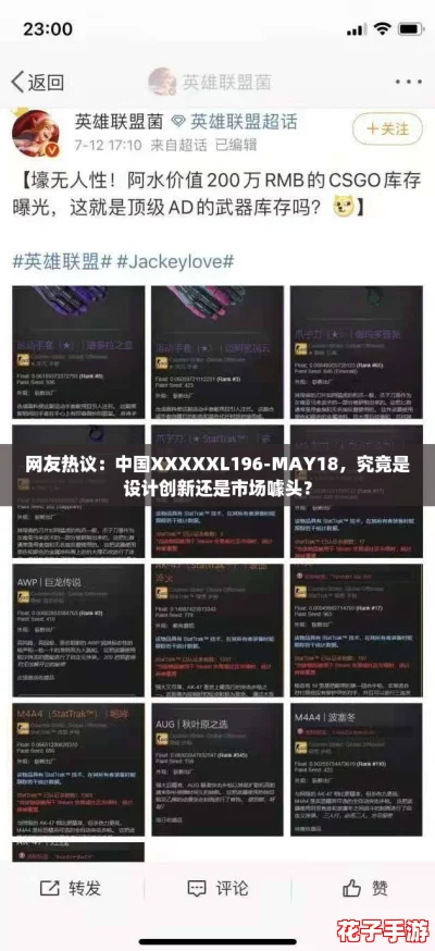 网友热议：中国XXXXXL196-MAY18，究竟是设计创新还是市场噱头？