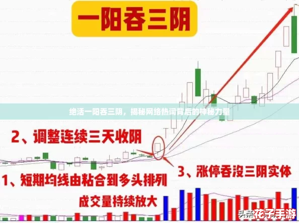 绝活一阳吞三阴，揭秘网络热词背后的神秘力量