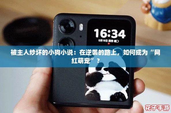 被主人炒坏的小狗小说：在逆袭的路上，如何成为“网红萌宠”？