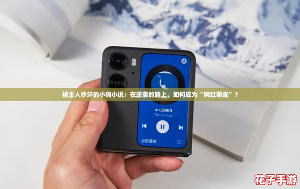 被主人炒坏的小狗小说:在逆袭的路上,如何成为“网红萌宠”? 被主人炒坏的小狗小说:在逆袭的路上,如何成为“网红萌宠”?