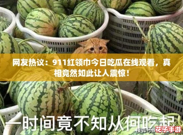 网友热议：911红领巾今日吃瓜在线观看，真相竟然如此让人震惊！