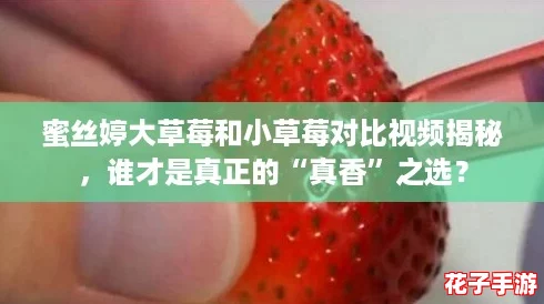 蜜丝婷大草莓和小草莓对比视频揭秘，谁才是真正的“真香”之选？