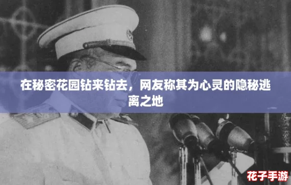 在秘密花园钻来钻去，网友称其为心灵的隐秘逃离之地